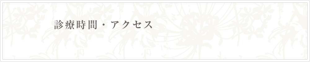 診療時間・アクセス